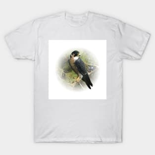 Falcon T-Shirt